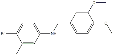 4-bromo-N-[(3,4-dimethoxyphenyl)methyl]-3-methylaniline Structure