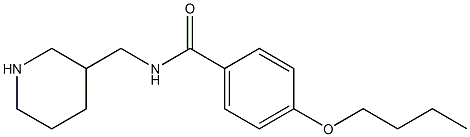 4-butoxy-N-(piperidin-3-ylmethyl)benzamide 구조식 이미지