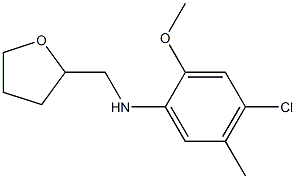 4-chloro-2-methoxy-5-methyl-N-(oxolan-2-ylmethyl)aniline 구조식 이미지