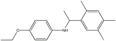 4-ethoxy-N-[1-(2,4,5-trimethylphenyl)ethyl]aniline Structure