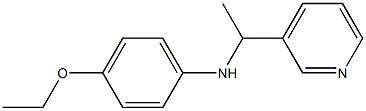 4-ethoxy-N-[1-(pyridin-3-yl)ethyl]aniline 구조식 이미지