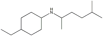 4-ethyl-N-(5-methylhexan-2-yl)cyclohexan-1-amine Structure