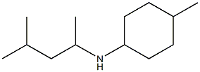 4-methyl-N-(4-methylpentan-2-yl)cyclohexan-1-amine Structure