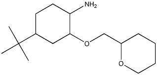 4-tert-butyl-2-(oxan-2-ylmethoxy)cyclohexan-1-amine Structure