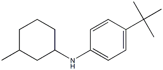 4-tert-butyl-N-(3-methylcyclohexyl)aniline Structure
