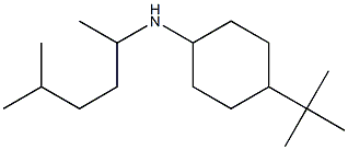 4-tert-butyl-N-(5-methylhexan-2-yl)cyclohexan-1-amine 구조식 이미지