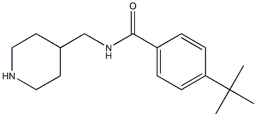 4-tert-butyl-N-(piperidin-4-ylmethyl)benzamide 구조식 이미지