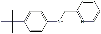 4-tert-butyl-N-(pyridin-2-ylmethyl)aniline Structure