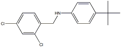 4-tert-butyl-N-[(2,4-dichlorophenyl)methyl]aniline 구조식 이미지