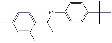 4-tert-butyl-N-[1-(2,4-dimethylphenyl)ethyl]aniline 구조식 이미지