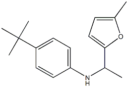 4-tert-butyl-N-[1-(5-methylfuran-2-yl)ethyl]aniline 구조식 이미지