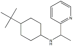 4-tert-butyl-N-[1-(pyridin-2-yl)ethyl]cyclohexan-1-amine Structure