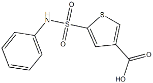 5-(phenylsulfamoyl)thiophene-3-carboxylic acid Structure