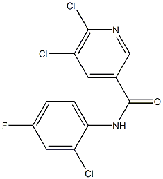 5,6-dichloro-N-(2-chloro-4-fluorophenyl)pyridine-3-carboxamide 구조식 이미지