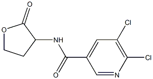 5,6-dichloro-N-(2-oxooxolan-3-yl)pyridine-3-carboxamide Structure