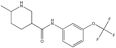 6-methyl-N-[3-(trifluoromethoxy)phenyl]piperidine-3-carboxamide 구조식 이미지