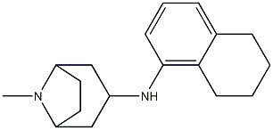 8-methyl-N-(5,6,7,8-tetrahydronaphthalen-1-yl)-8-azabicyclo[3.2.1]octan-3-amine 구조식 이미지