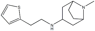 8-methyl-N-[2-(thiophen-2-yl)ethyl]-8-azabicyclo[3.2.1]octan-3-amine Structure