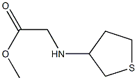 methyl 2-(thiolan-3-ylamino)acetate 구조식 이미지