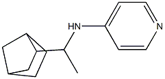 N-(1-{bicyclo[2.2.1]heptan-2-yl}ethyl)pyridin-4-amine 구조식 이미지