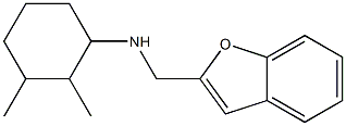 N-(1-benzofuran-2-ylmethyl)-2,3-dimethylcyclohexan-1-amine 구조식 이미지