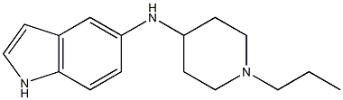 N-(1-propylpiperidin-4-yl)-1H-indol-5-amine 구조식 이미지