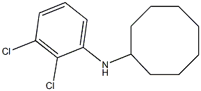 N-(2,3-dichlorophenyl)cyclooctanamine 구조식 이미지