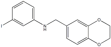 N-(2,3-dihydro-1,4-benzodioxin-6-ylmethyl)-3-iodoaniline 구조식 이미지