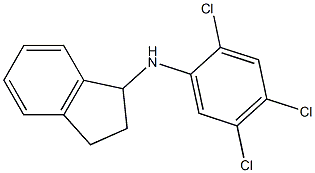 N-(2,4,5-trichlorophenyl)-2,3-dihydro-1H-inden-1-amine 구조식 이미지