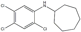 N-(2,4,5-trichlorophenyl)cycloheptanamine 구조식 이미지