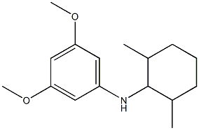 N-(2,6-dimethylcyclohexyl)-3,5-dimethoxyaniline 구조식 이미지