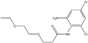 N-(2-amino-4,6-dichlorophenyl)-3-(2-ethoxyethoxy)propanamide 구조식 이미지