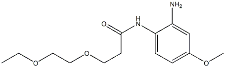 N-(2-amino-4-methoxyphenyl)-3-(2-ethoxyethoxy)propanamide 구조식 이미지