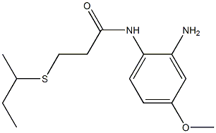 N-(2-amino-4-methoxyphenyl)-3-(butan-2-ylsulfanyl)propanamide 구조식 이미지