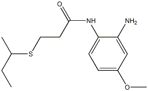 N-(2-amino-4-methoxyphenyl)-3-(butan-2-ylsulfanyl)propanamide Structure