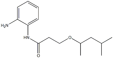 N-(2-aminophenyl)-3-[(4-methylpentan-2-yl)oxy]propanamide 구조식 이미지