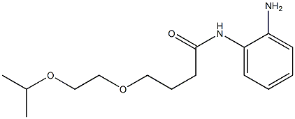 N-(2-aminophenyl)-4-[2-(propan-2-yloxy)ethoxy]butanamide 구조식 이미지