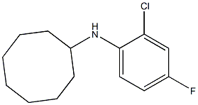 N-(2-chloro-4-fluorophenyl)cyclooctanamine Structure