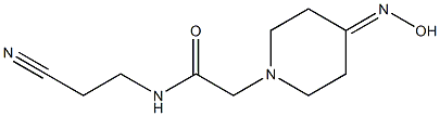 N-(2-cyanoethyl)-2-[4-(hydroxyimino)piperidin-1-yl]acetamide 구조식 이미지