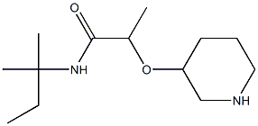 N-(2-methylbutan-2-yl)-2-(piperidin-3-yloxy)propanamide 구조식 이미지