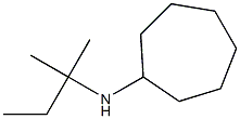 N-(2-methylbutan-2-yl)cycloheptanamine Structure