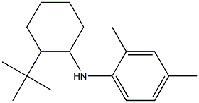 N-(2-tert-butylcyclohexyl)-2,4-dimethylaniline Structure