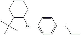 N-(2-tert-butylcyclohexyl)-4-ethoxyaniline Structure