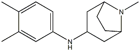 N-(3,4-dimethylphenyl)-8-methyl-8-azabicyclo[3.2.1]octan-3-amine 구조식 이미지