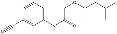 N-(3-cyanophenyl)-2-[(4-methylpentan-2-yl)oxy]acetamide Structure