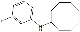 N-(3-iodophenyl)cyclooctanamine 구조식 이미지