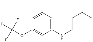 N-(3-methylbutyl)-3-(trifluoromethoxy)aniline Structure