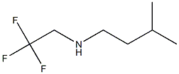 N-(3-methylbutyl)-N-(2,2,2-trifluoroethyl)amine Structure