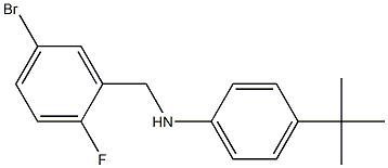 N-[(5-bromo-2-fluorophenyl)methyl]-4-tert-butylaniline 구조식 이미지