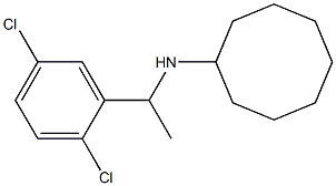 N-[1-(2,5-dichlorophenyl)ethyl]cyclooctanamine 구조식 이미지